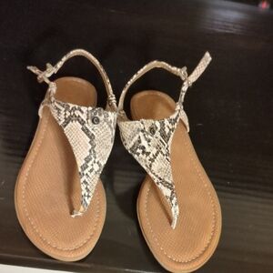 Circus by Sam Edelman Snakeskin Sandals - Tan and Black